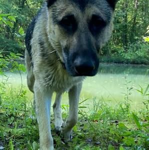 Meet your Posher, Jonas